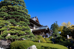 （家康の松と本坊）