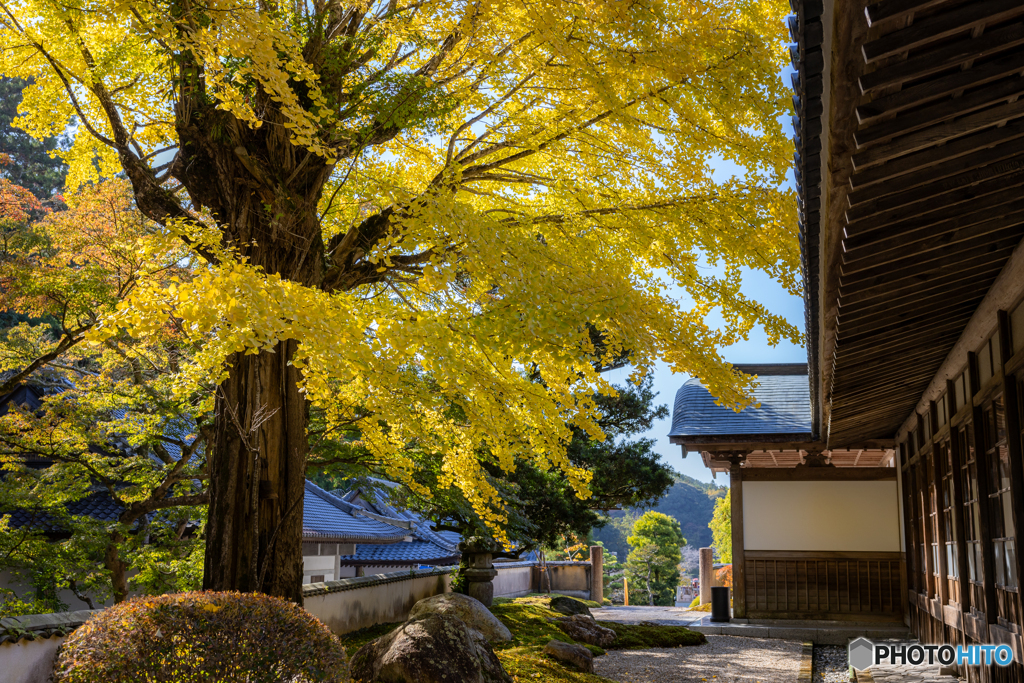 （法多山尊永寺）