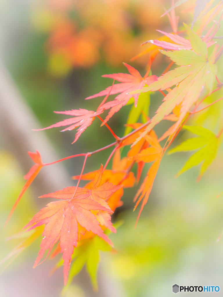 （法多山尊永寺）