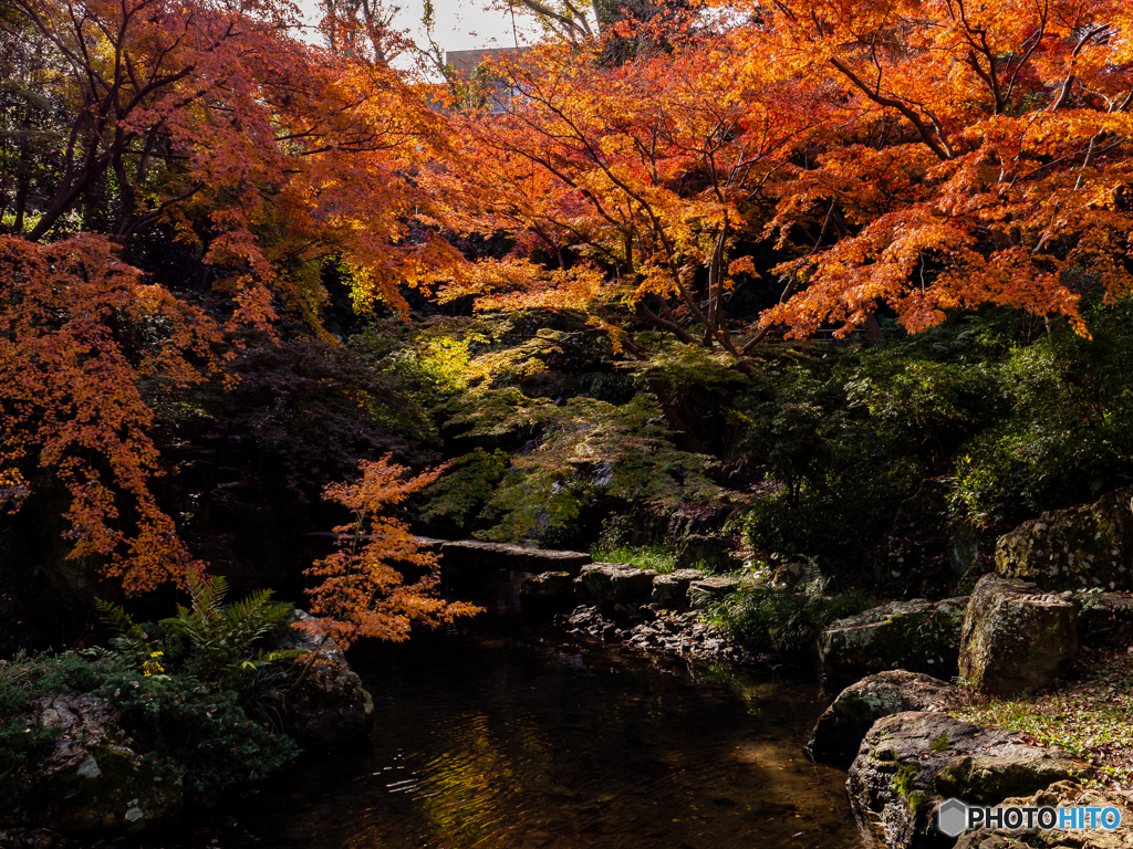 （浜松城公園）