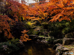 （浜松城公園）