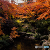（浜松城公園）