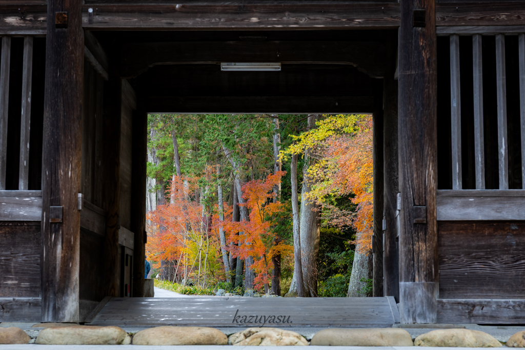 （重厚な額縁）