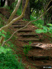 （森の中の小道で）