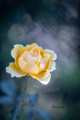 （水彩画みたいに撮れた！）