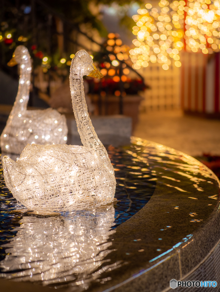 (Xmas illumination)