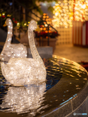 (Xmas illumination)