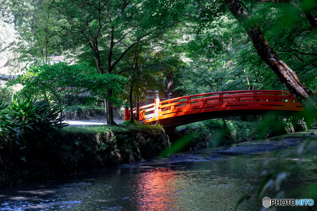 (小國神社の赤い橋）