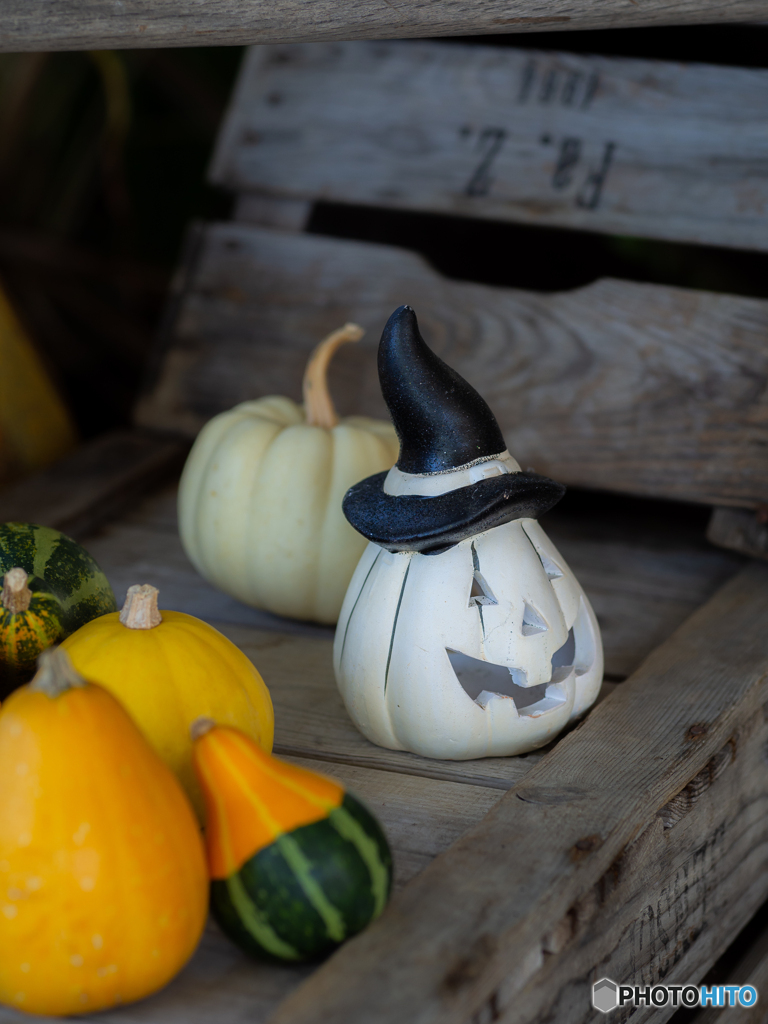 (happy♪halloween!!)