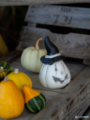 (happy♪halloween!!)