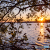(佐鳴湖夕景）