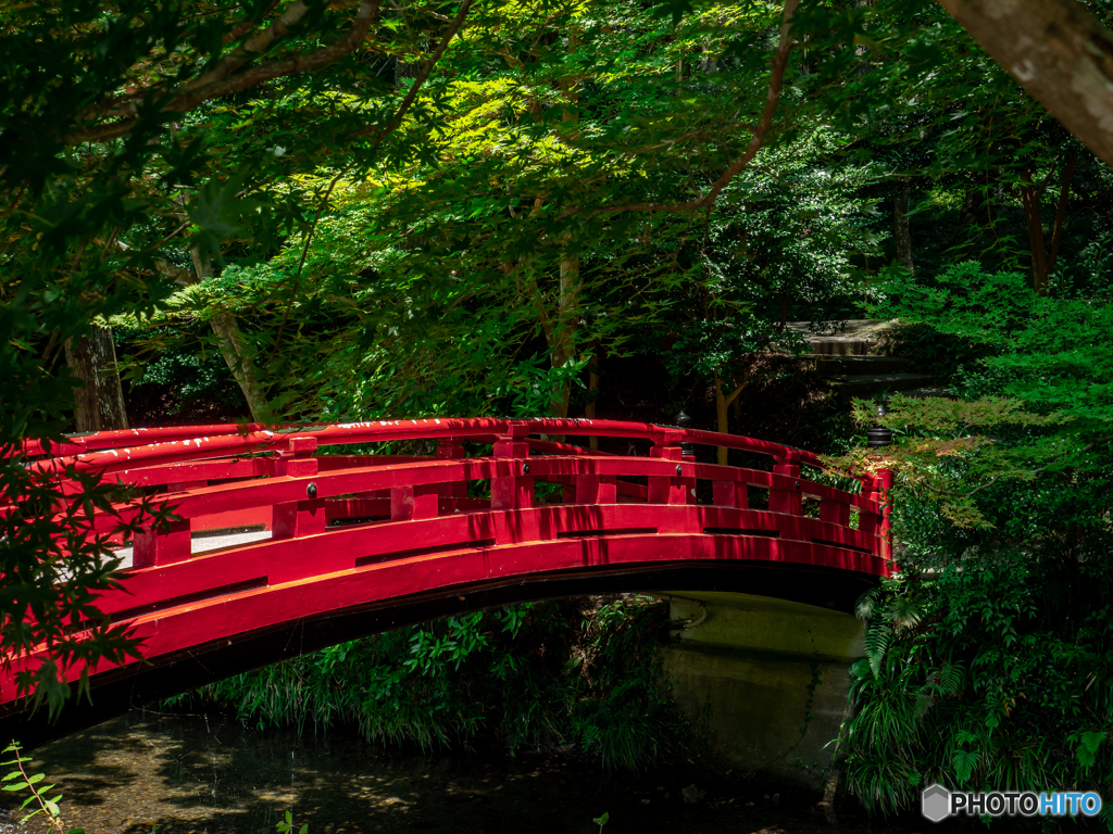 （小國神社　赤と緑）