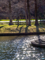 (キラキラ）☆彡