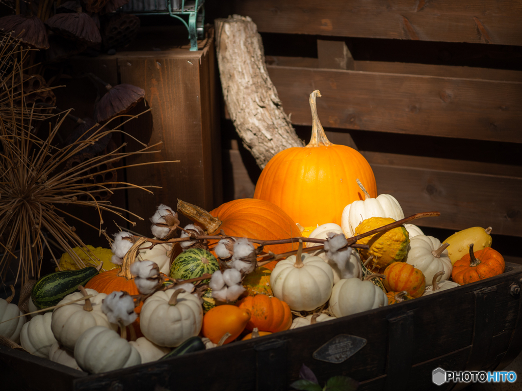 （ハロウィン）