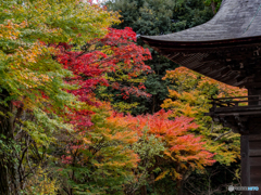 （法多山尊永寺）
