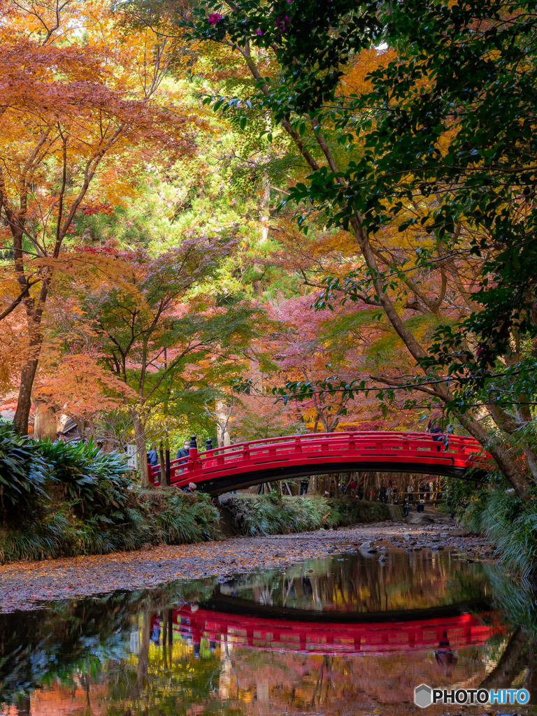 （小國神社の赤い橋）