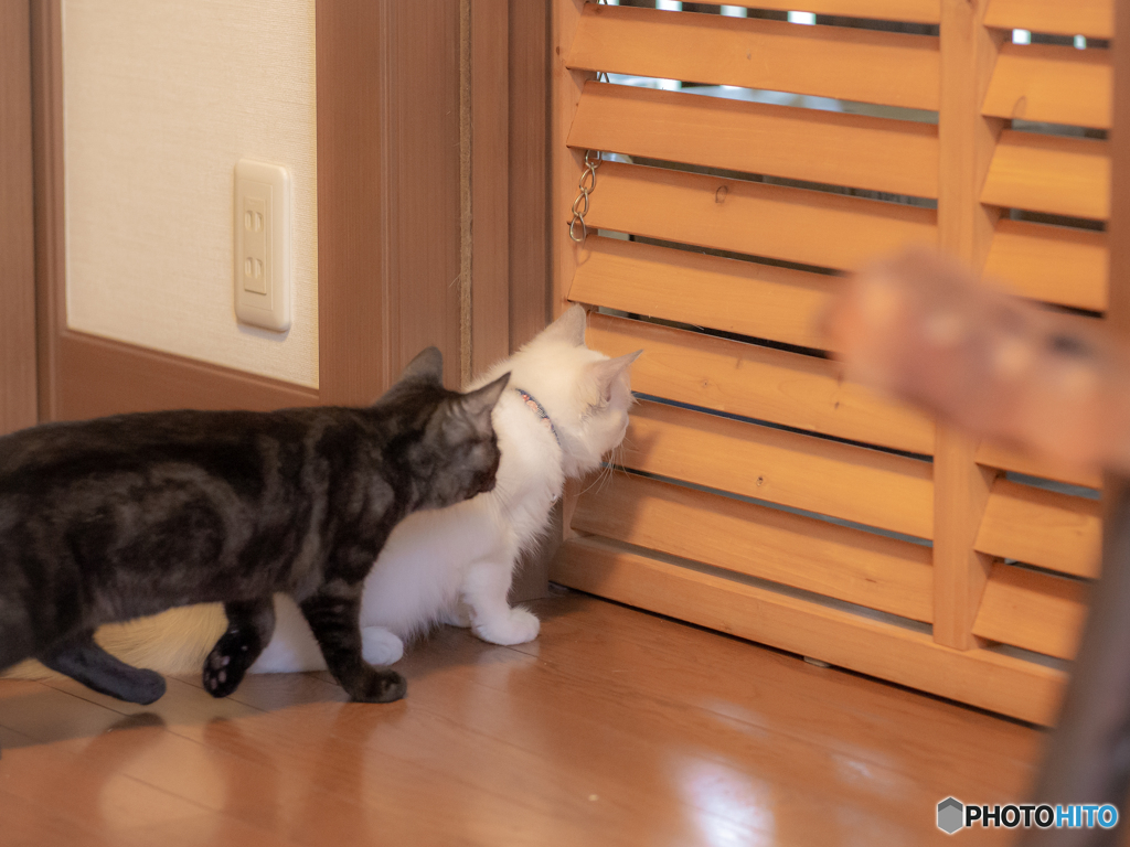 (誰か来た）