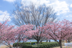 （浜松市佐鳴湖漕艇場）
