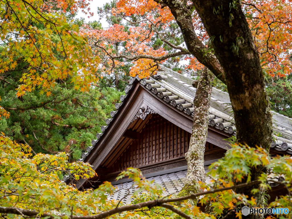 (法多山尊永寺）