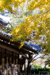 (法多山尊永寺）