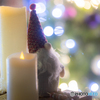 （X’masイルミネーション）