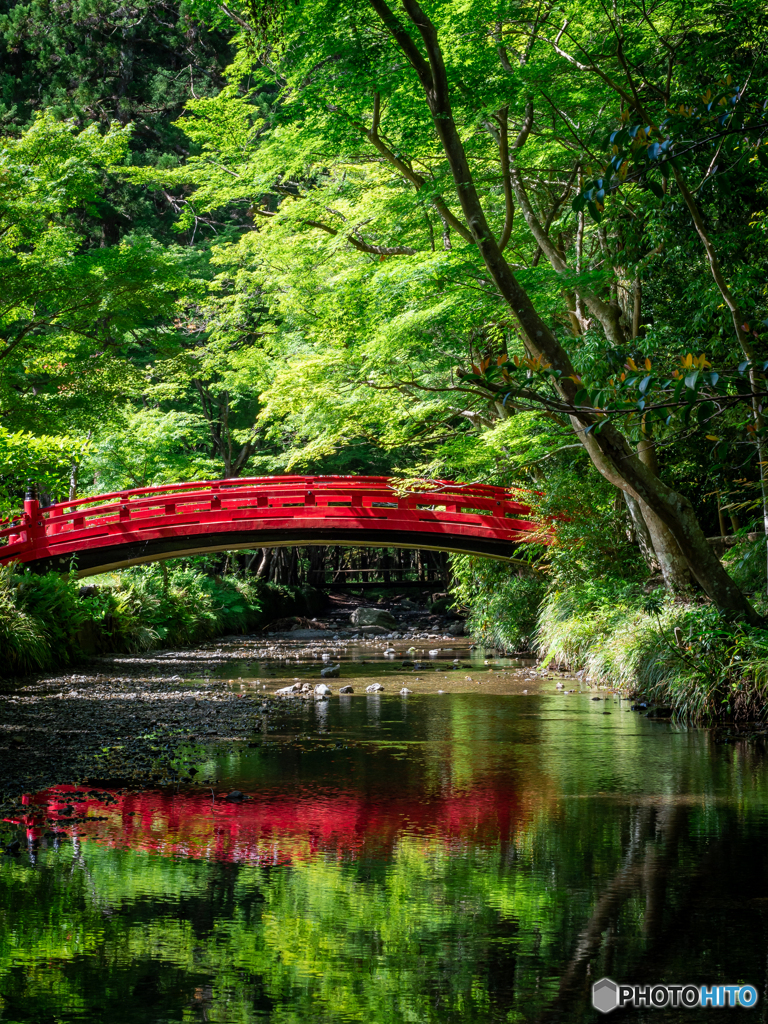 (小國神社 深緑）