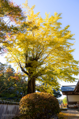 （法多山尊永寺 紫雲閣）