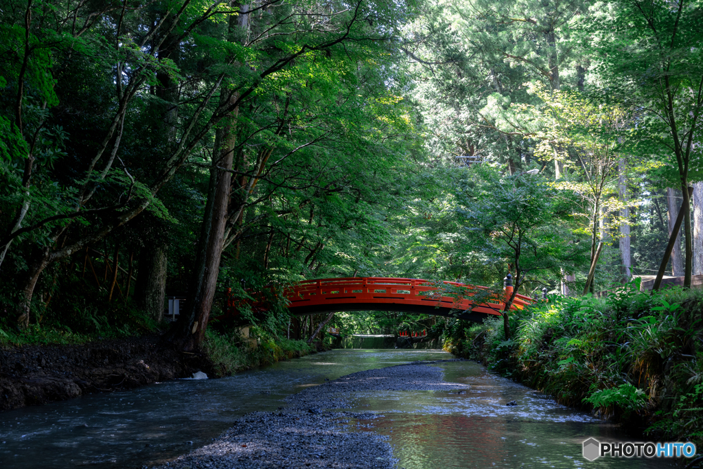 （小國神社の赤い橋）