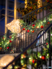 （Xmas illumination)