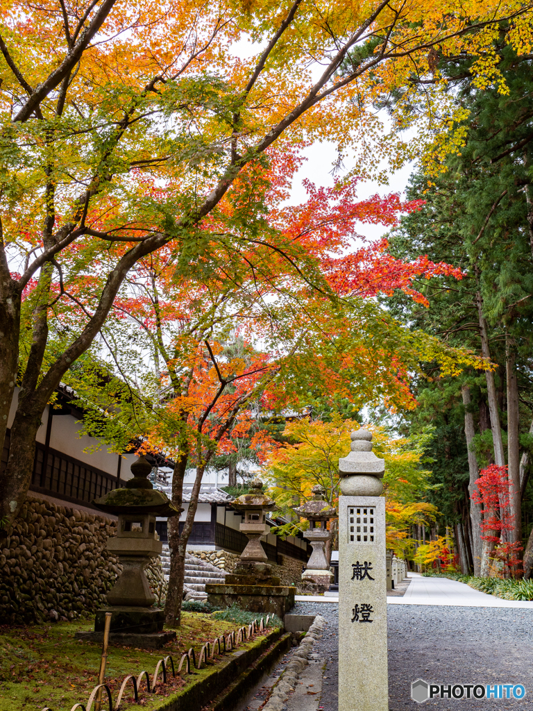 （法多山尊永寺）