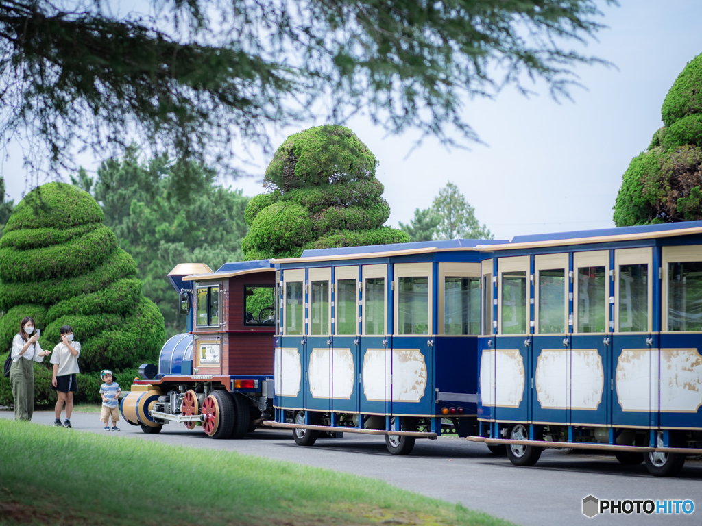 （flower train)