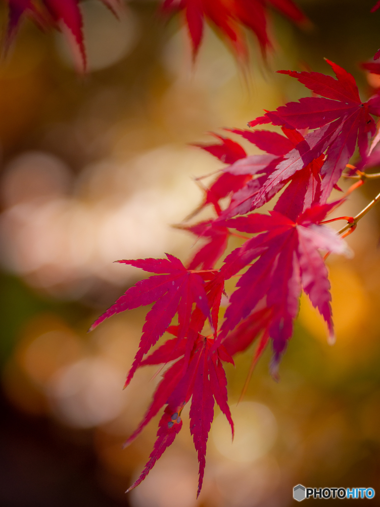 （法多山尊永寺）