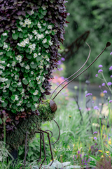 （topiary）