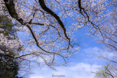 (青空に手を伸ばす）