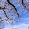 (青空に手を伸ばす）