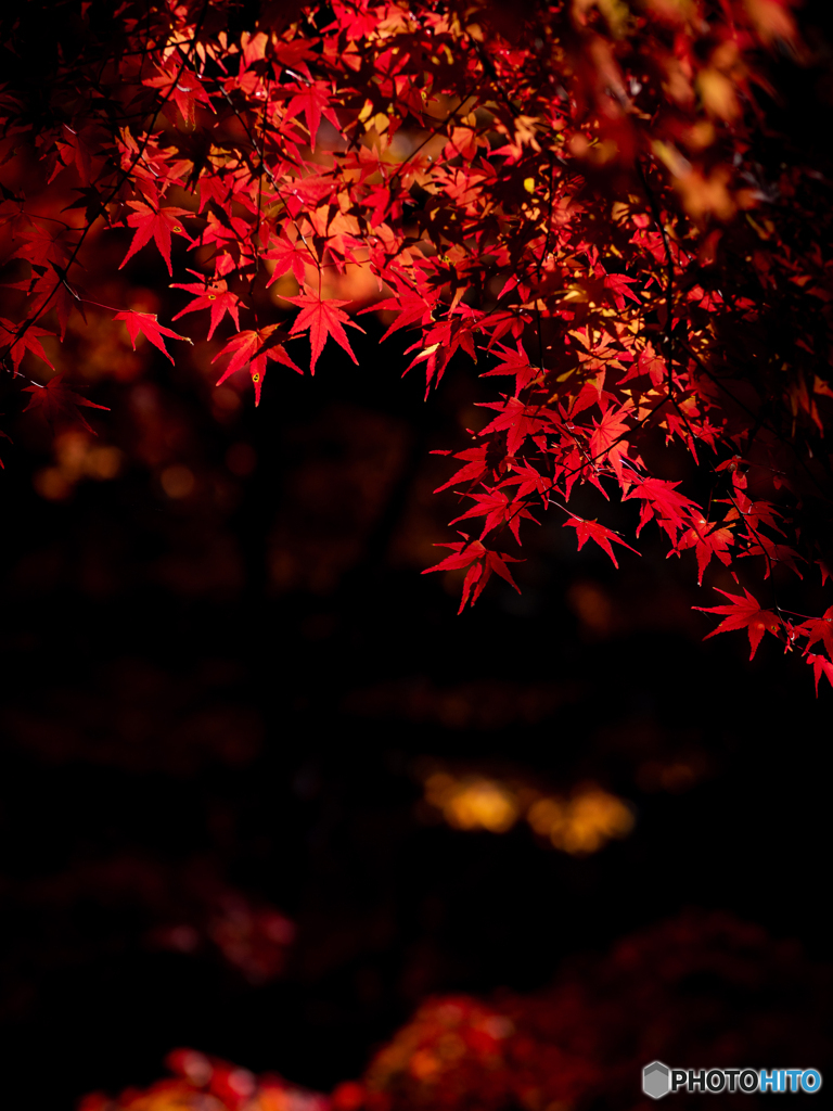 （法多山尊永寺）