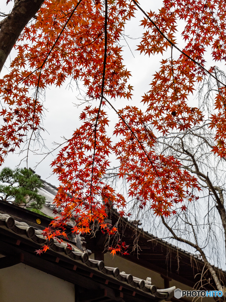 （法多山尊永寺）