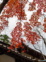 （法多山尊永寺）