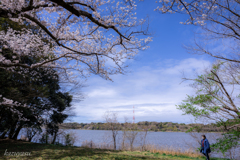 （佐鳴湖東岸）