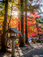 （小國神社に紅葉狩り）