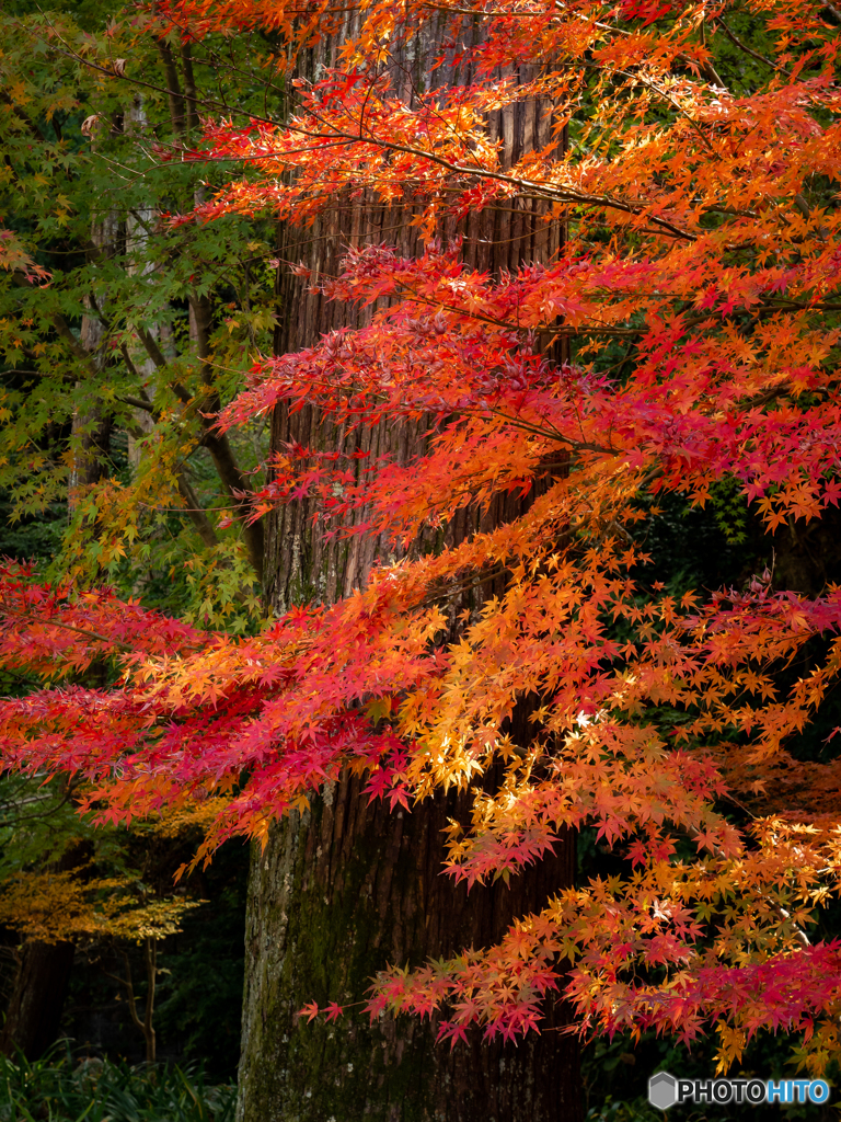 （法多山尊永寺）