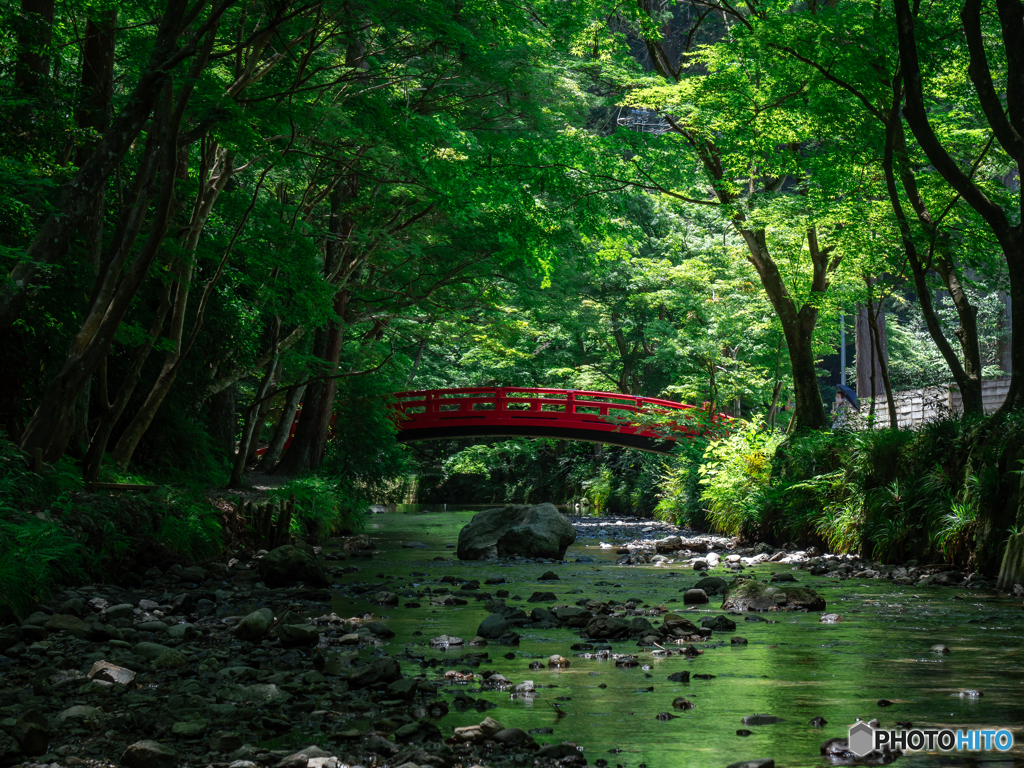 (小國神社　初夏）