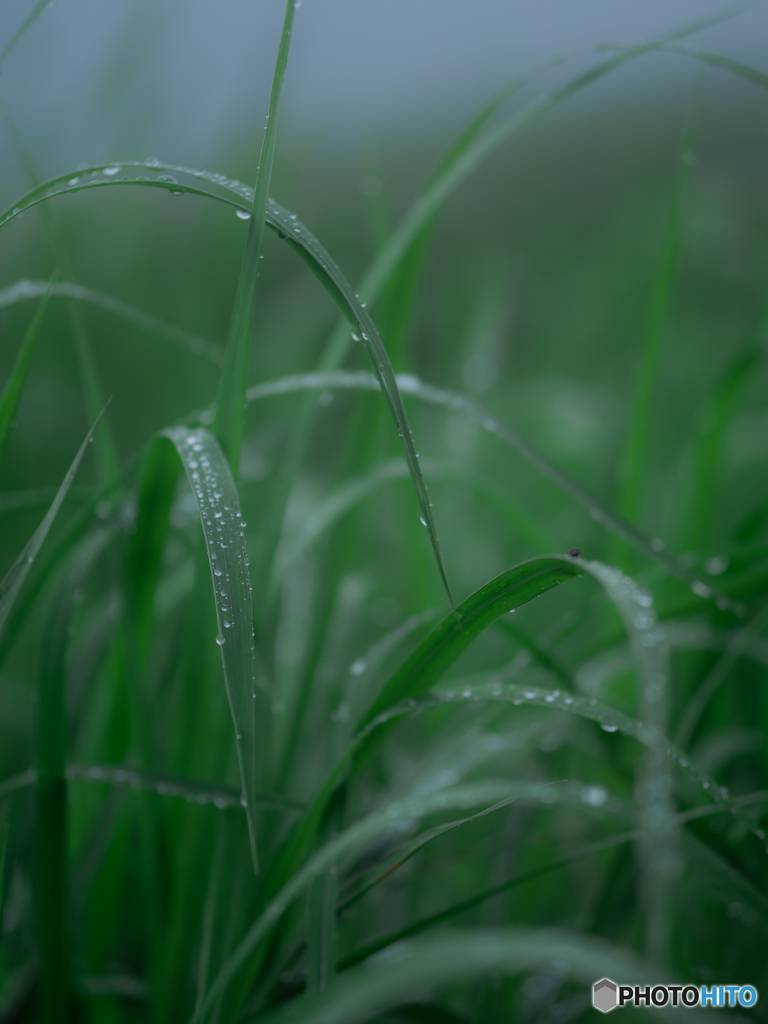 （a rainy day)