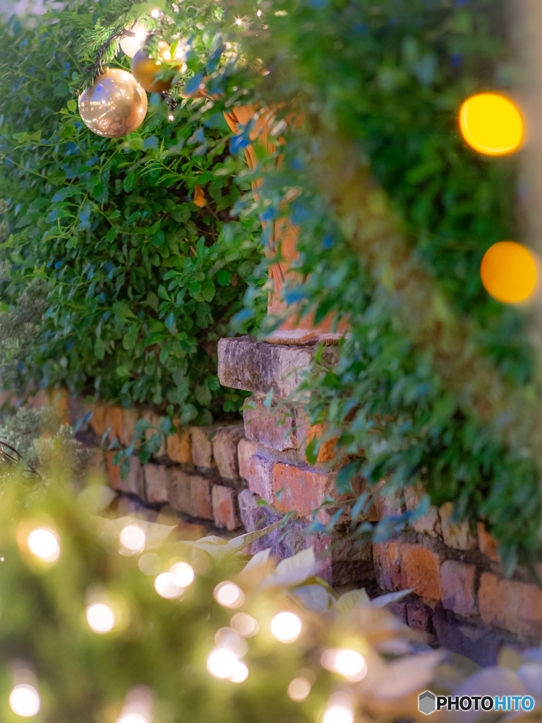 (Xmas illumination)