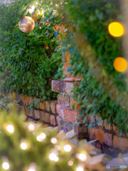 (Xmas illumination)