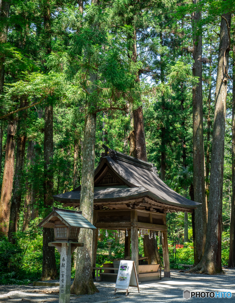 （小國神社）