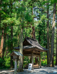 （小國神社）