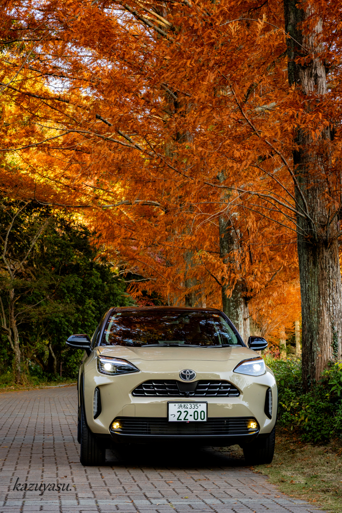 （新車キタ---0(≧▽≦)0---!!!）