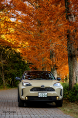 （新車キタ---0(≧▽≦)0---!!!）