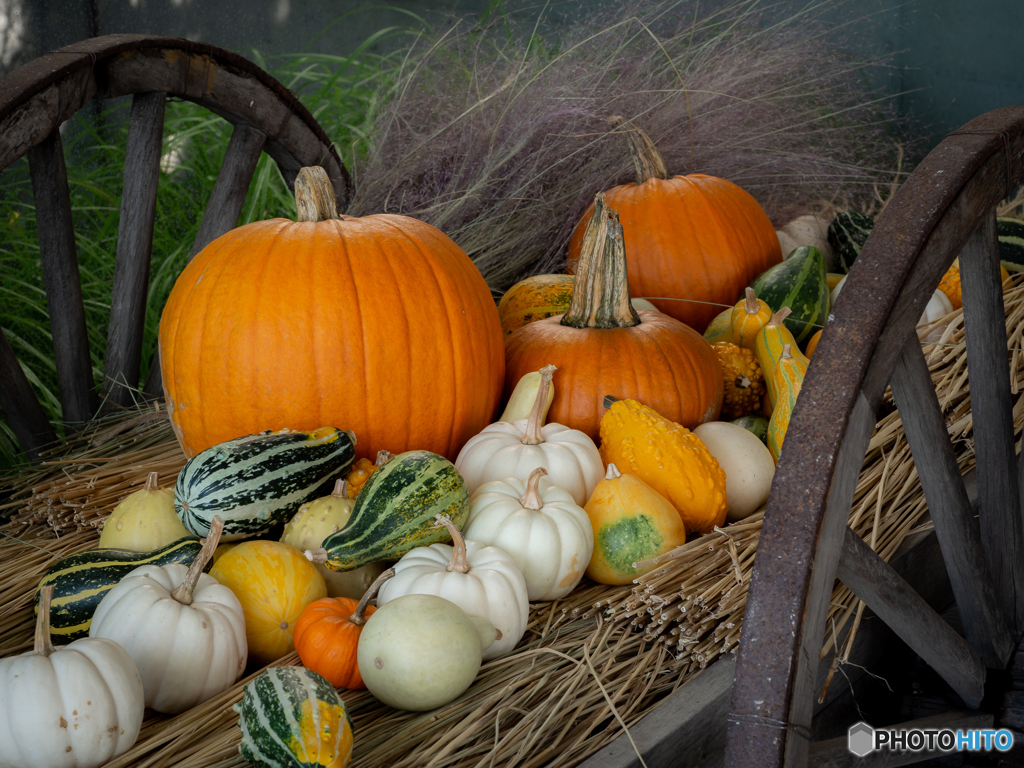 （happy♪halloween!!)